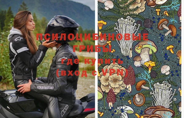 скорость Медвежьегорск