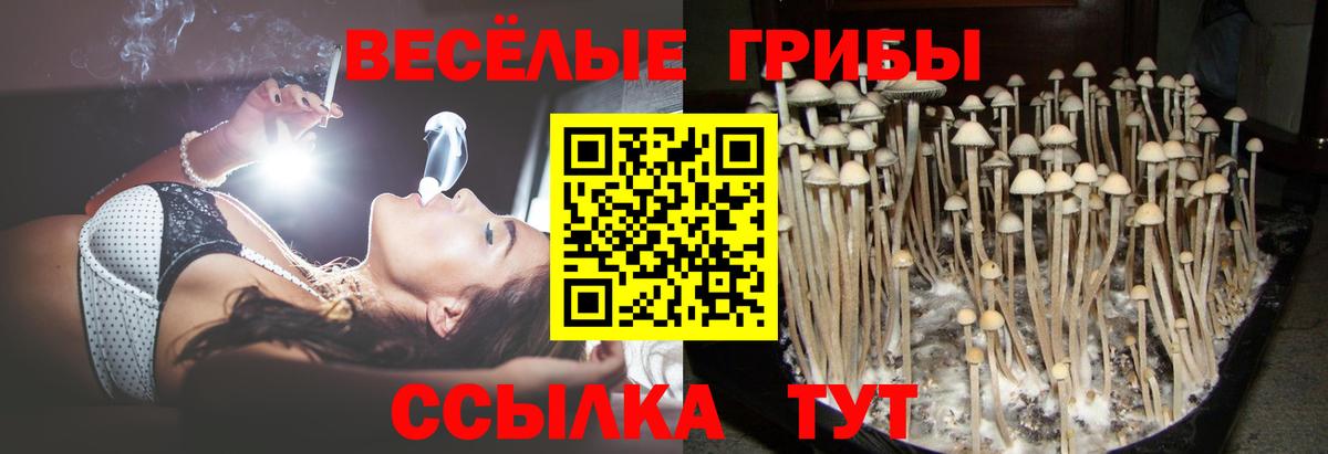 ГАШ Медногорск